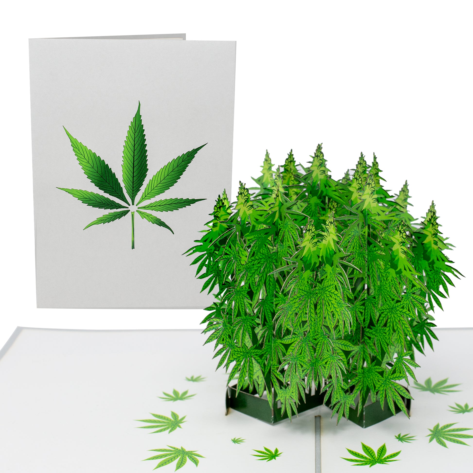 A pop-up card with a 3D cannabis plant design, surrounded by green leaves on a white background. Next to it is a closed card featuring a large cannabis leaf illustration, emphasizing a vibrant and natural theme.