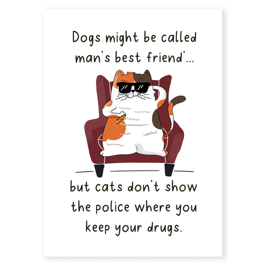 Funny illustrated greeting card featuring a relaxed cat wearing sunglasses and sitting confidently in a chair. The card includes humorous text comparing cats and dogs with a sarcastic tone, perfect for cat lovers who enjoy bold humor.