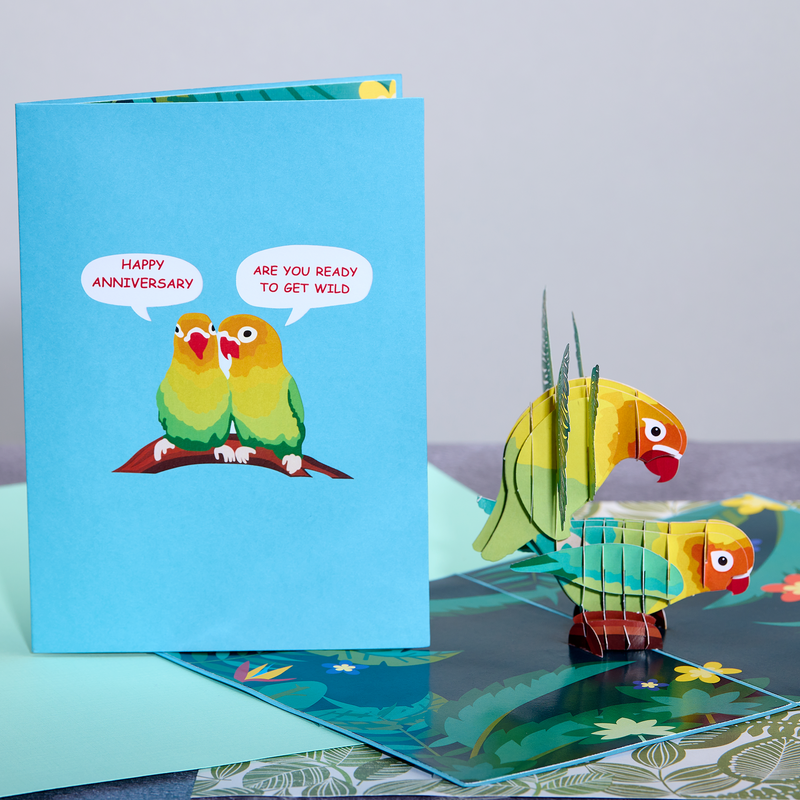Colorful pop-up anniversary card with two adorable birds.