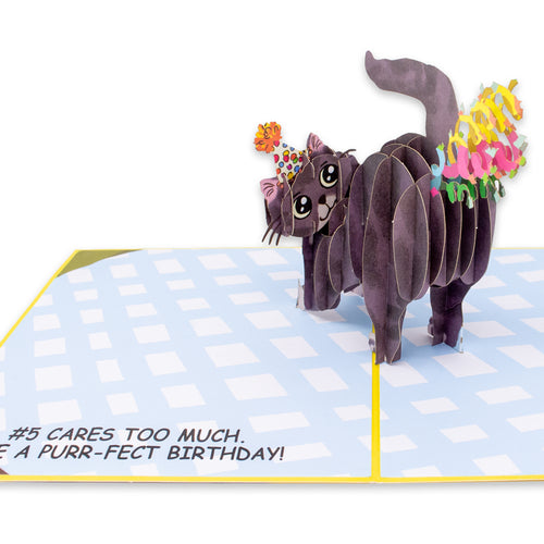 Funny birthday card featuring a gray tabby cat surrounded by confetti, with the text "#5 cares too much. Have a purr-fect birthday!".