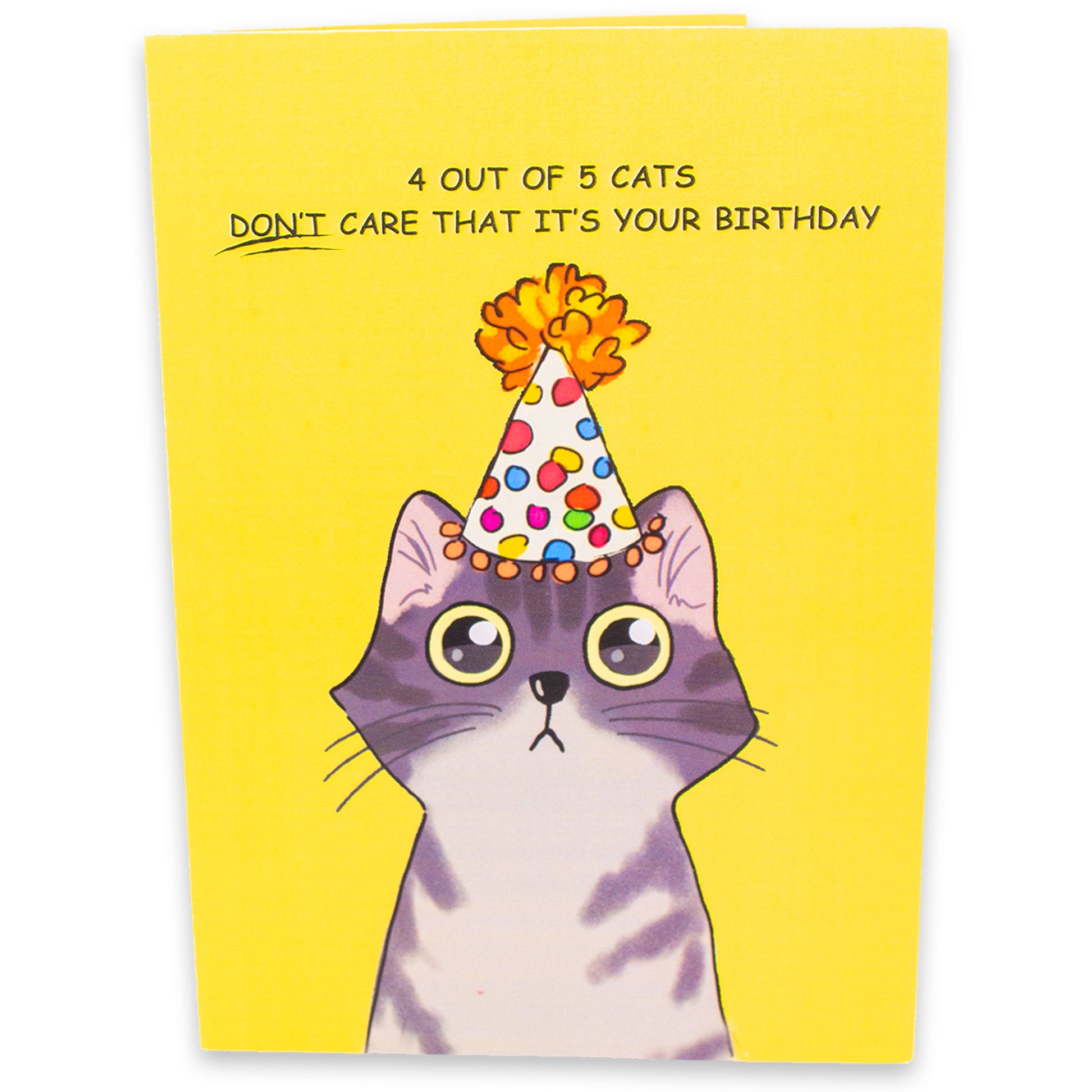 Celebrate with a hilarious card! It shows a gray tabby cat wearing a birthday hat, with the caption 4 out of 5 cats don't care that it's your birthday.