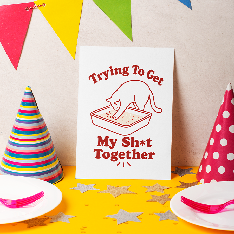Trying To Get My Sh*t Together