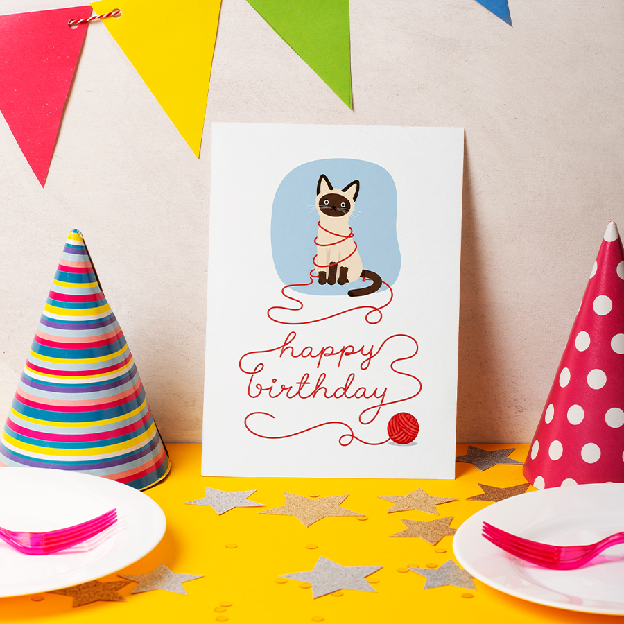 Cat Yarn Birthday